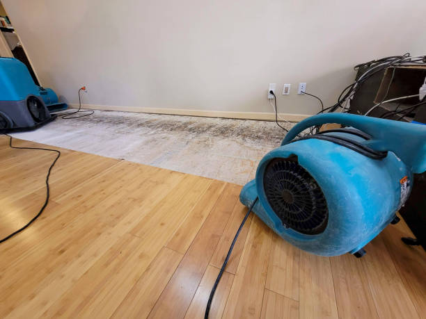 Professional Water Damage Repair technician working in Riverside, CA